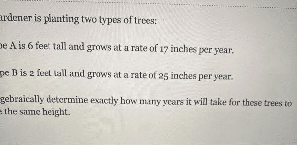 a gardener is planting two types of trees