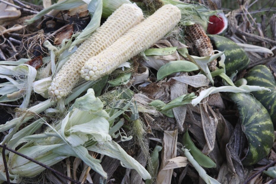 are corn husks good for composting