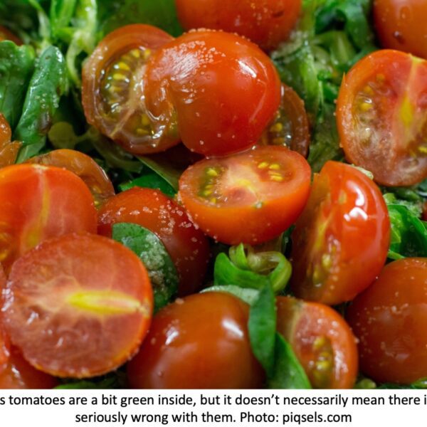 are green tomato seeds bad