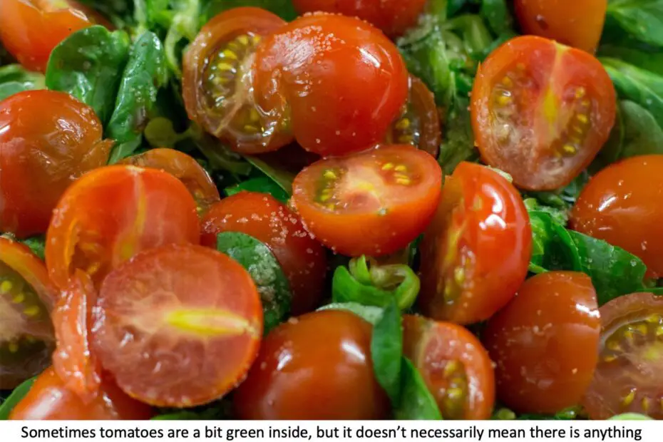 are-green-tomato-seeds-bad