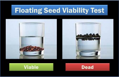 are seeds that float bad