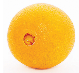 are valencia oranges seedless