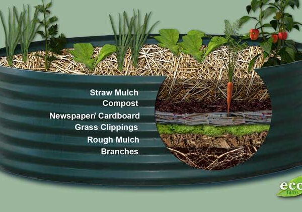 can i put grass clippings in my raised garden bed