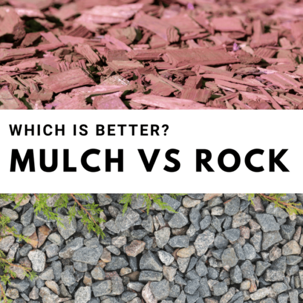 can i put mulch over rocks