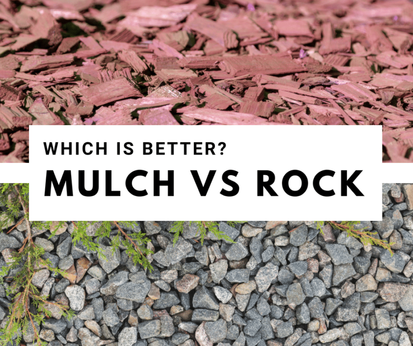 Can I Put Mulch Over Rocks