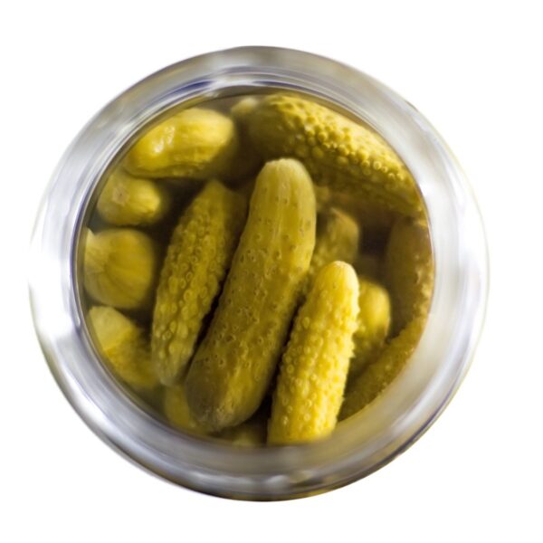 can pickles be composted