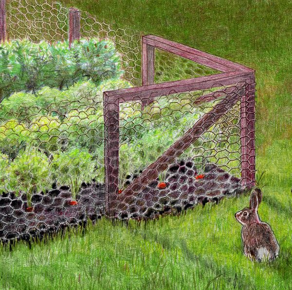 can rabbits jump into raised garden beds