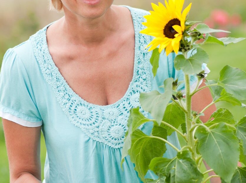 Can Sunflowers Be Transplanted