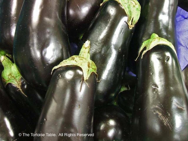 Can Tortoises Eat Eggplant