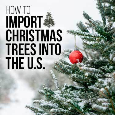 Can You Bring Christmas Trees Across State Lines