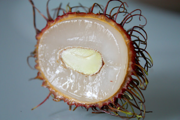 can you eat a rambutan seed