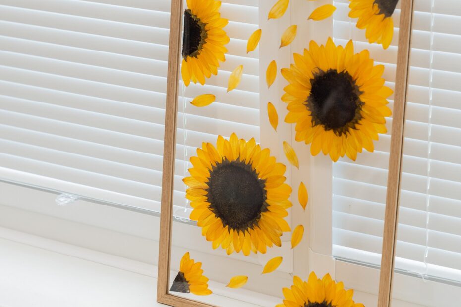 can you press sunflowers scaled