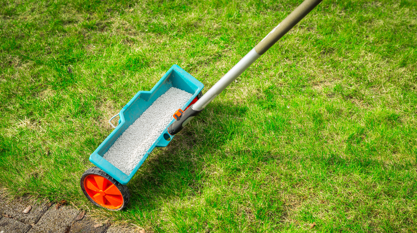 can-you-put-fertilizer-on-wet-grass