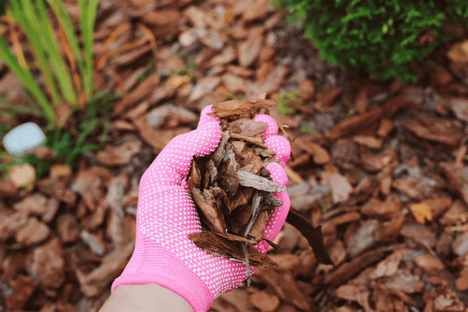 Can You Spray Mulch for Bugs