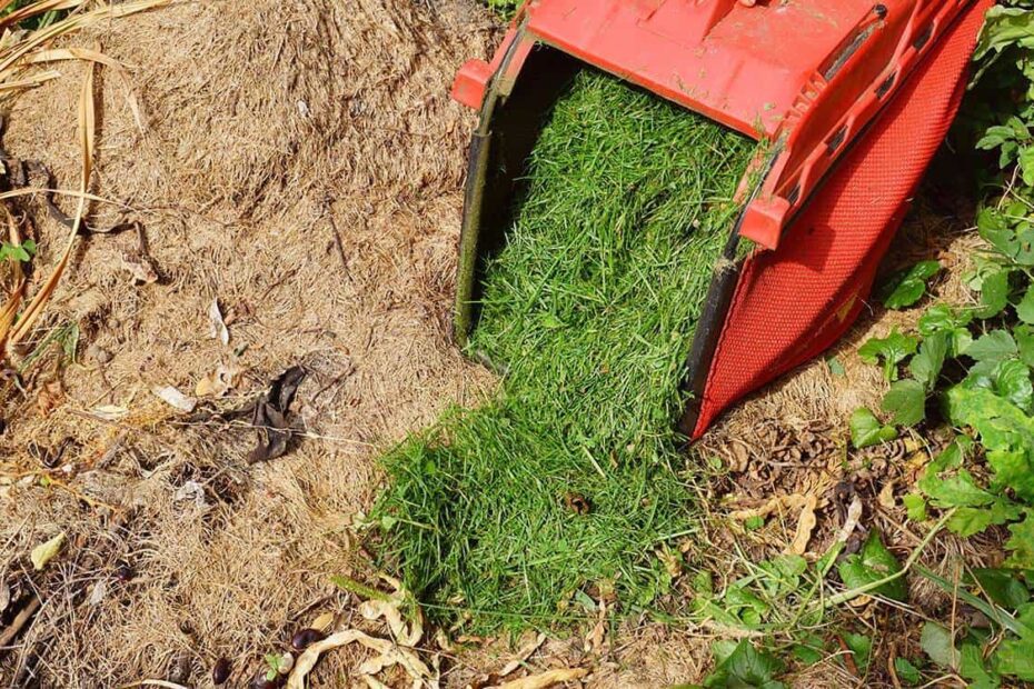 Can You Use Grass Clippings to Cover Grass Seed