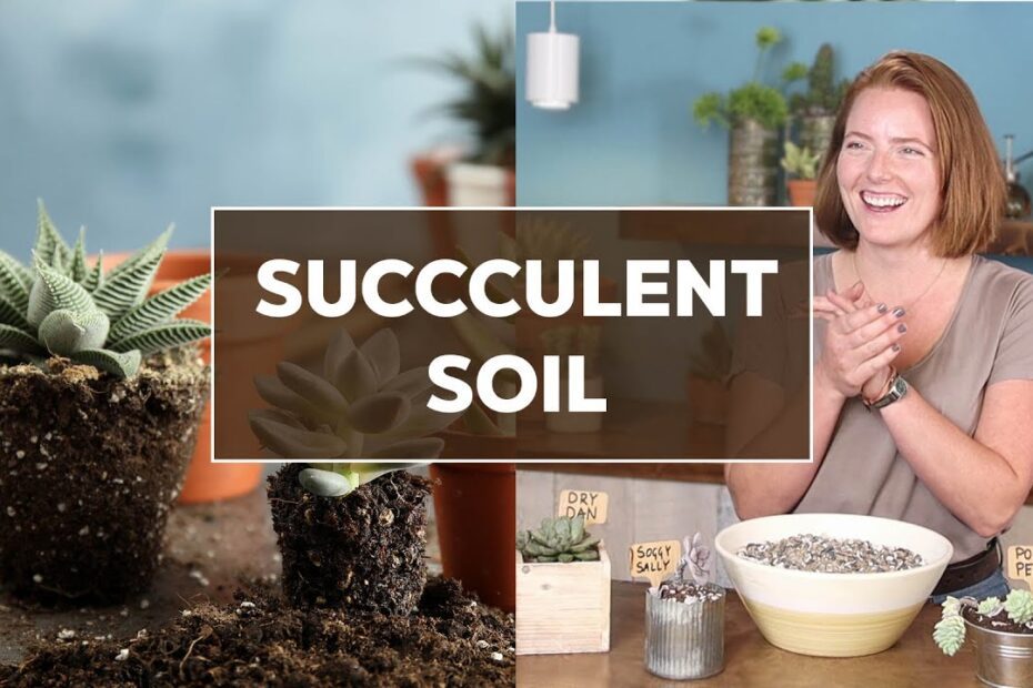 Can You Use Succulent Soil for Other Plants