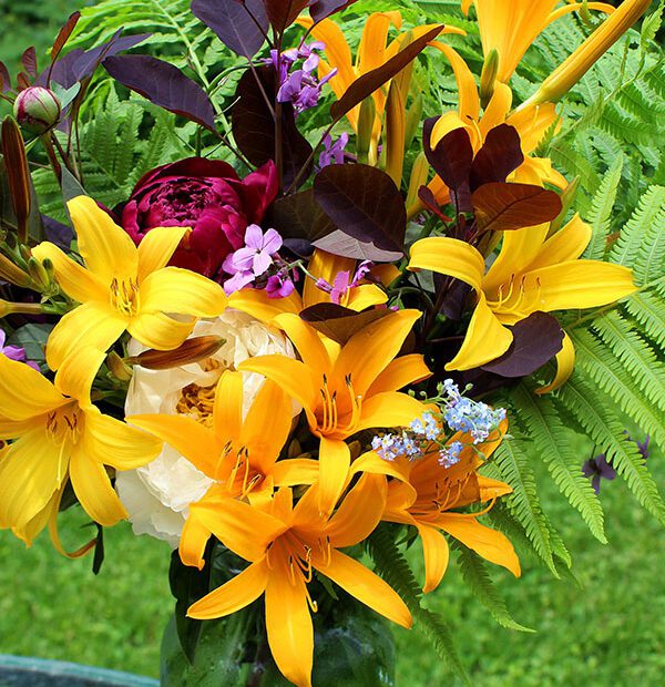 Do Daylilies Make Good Cut Flowers