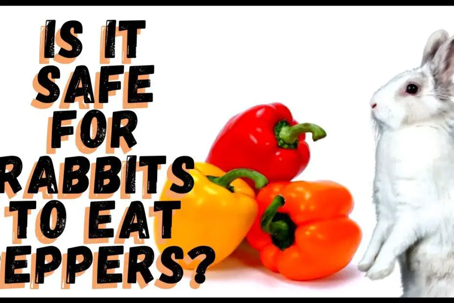 do rabbits eat jalapeno plants