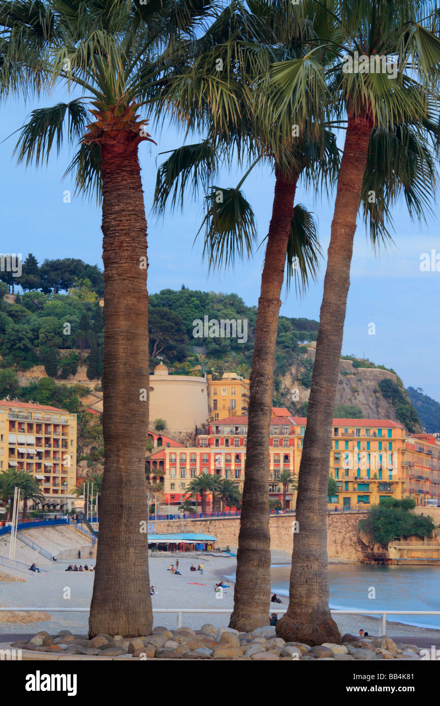 Does France Have Palm Trees