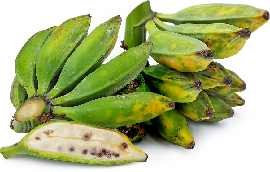 Does Plantain Have Seeds