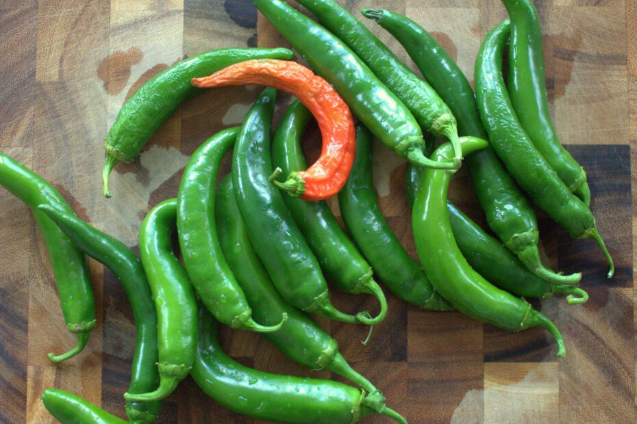 garden salsa peppers when to pick scaled