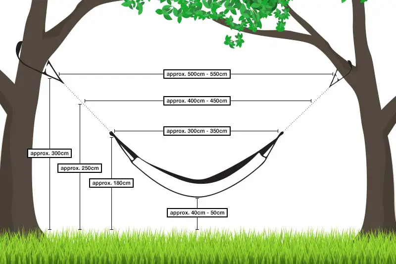 How Far Apart Should Trees Be for a Hammock