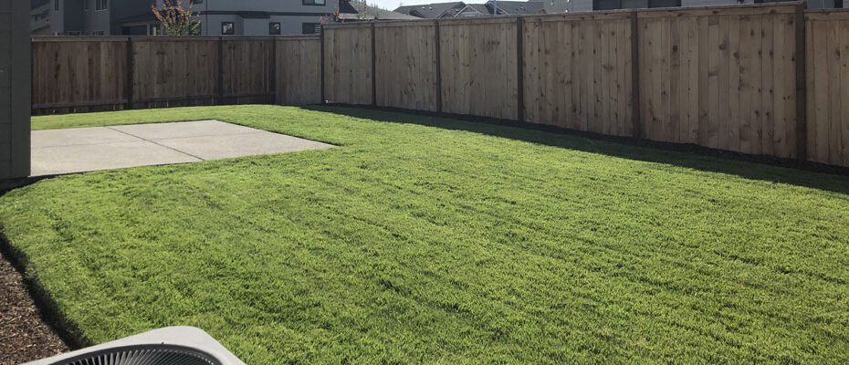 How Long After Lawn Treatment Can I Mow