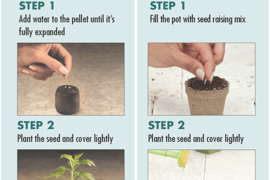 How Long Can Seedlings Stay in Peat Pellets