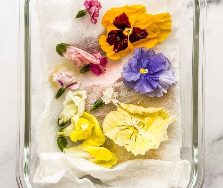 How Long Do Edible Flowers Last