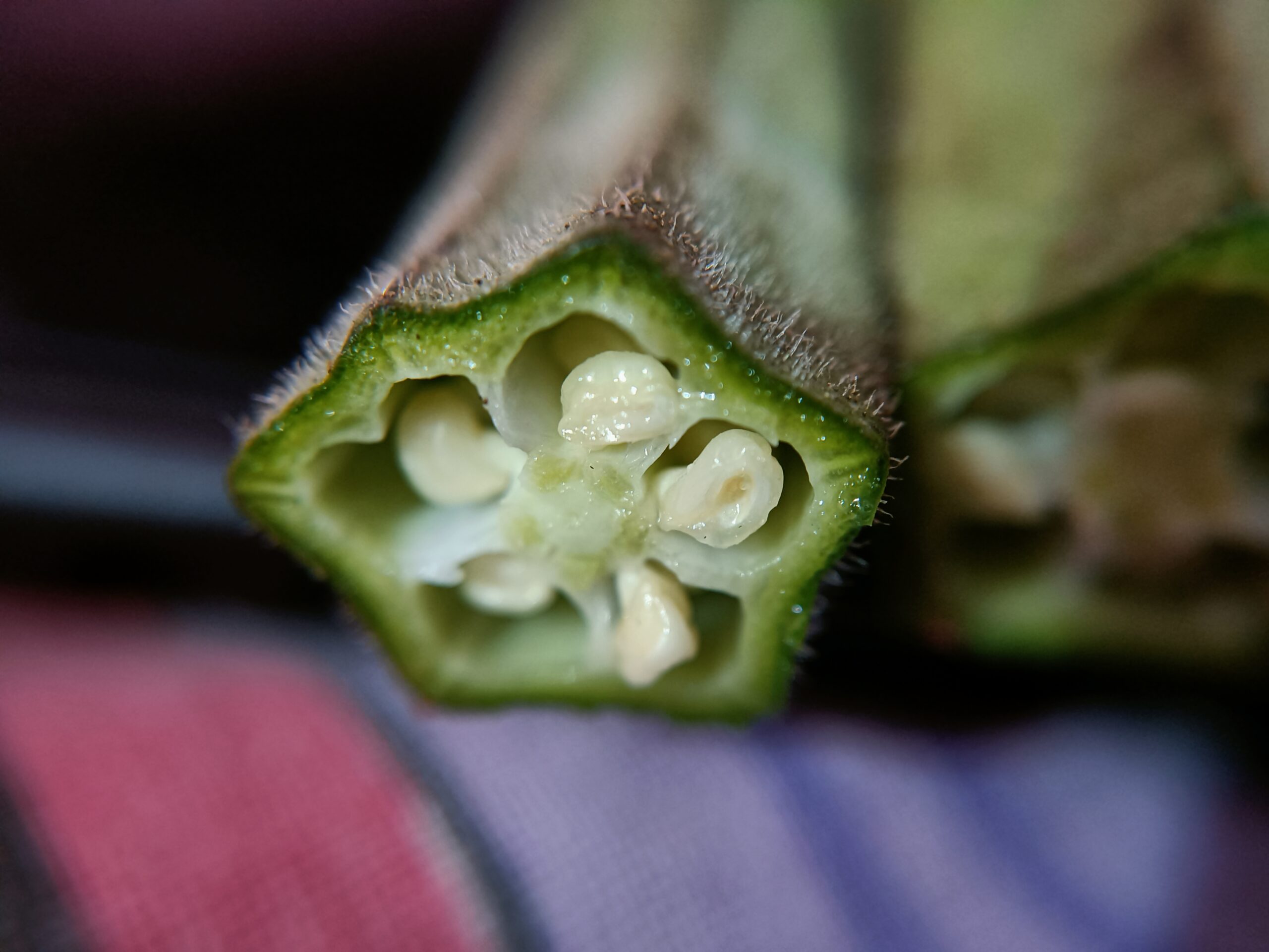 how long to soak okra seeds before planting scaled