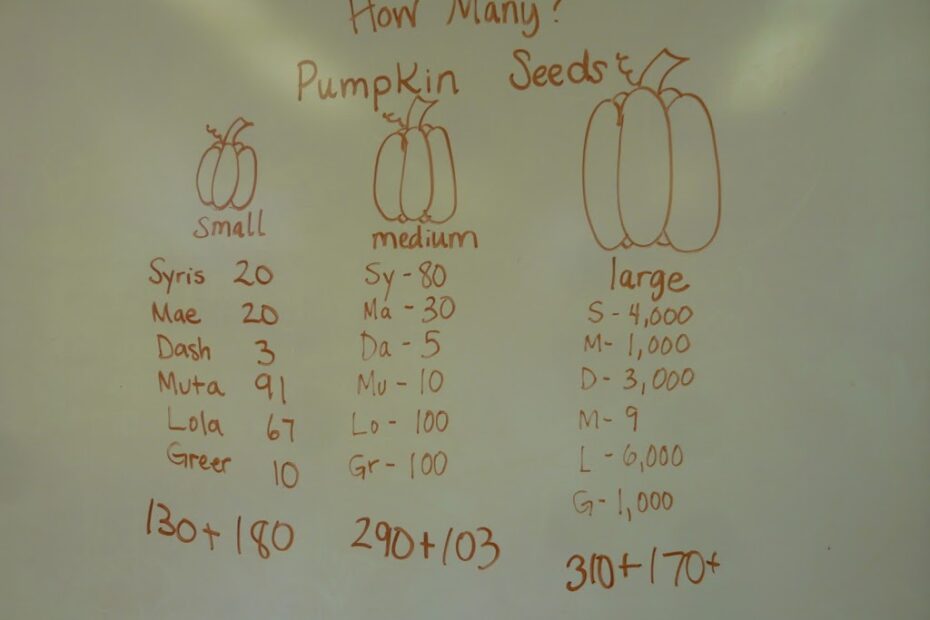 How Many Seeds Are in a Small Pumpkin