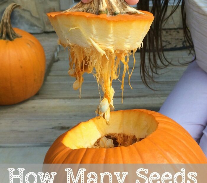 how many seeds are in an average pumpkin