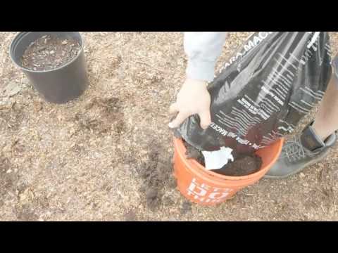 how much potting soil for 5 gallon bucket