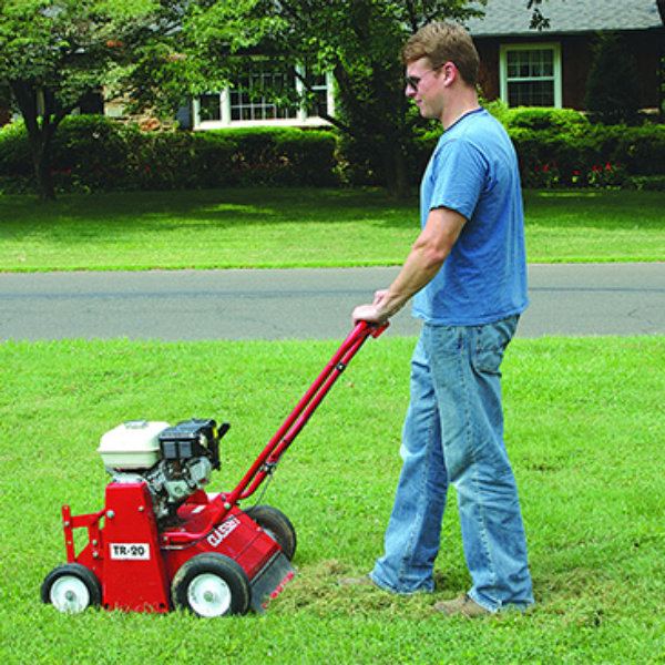 how much to power rake lawn