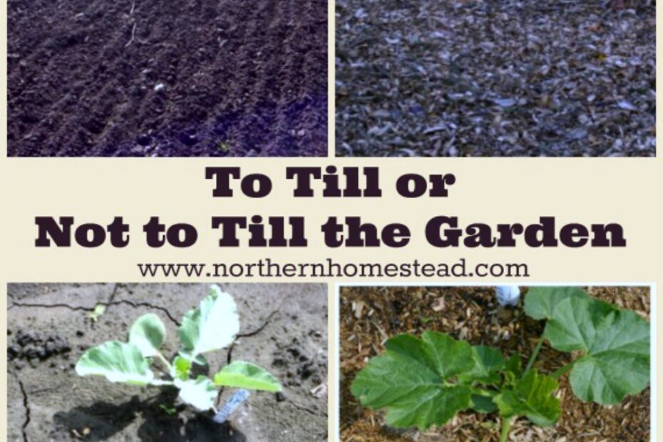 How Much to Till a Garden