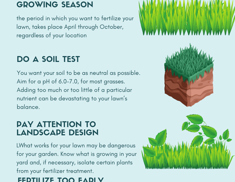 How Often to Fertilize Lawn in Florida