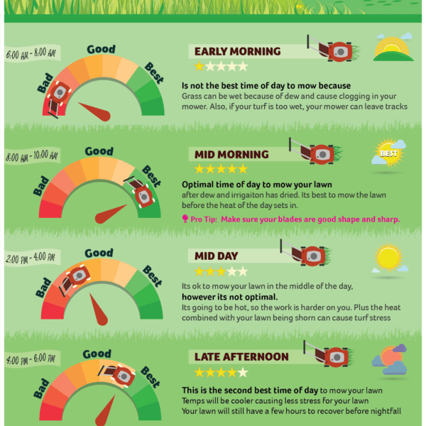 how often to mow lawn in summer