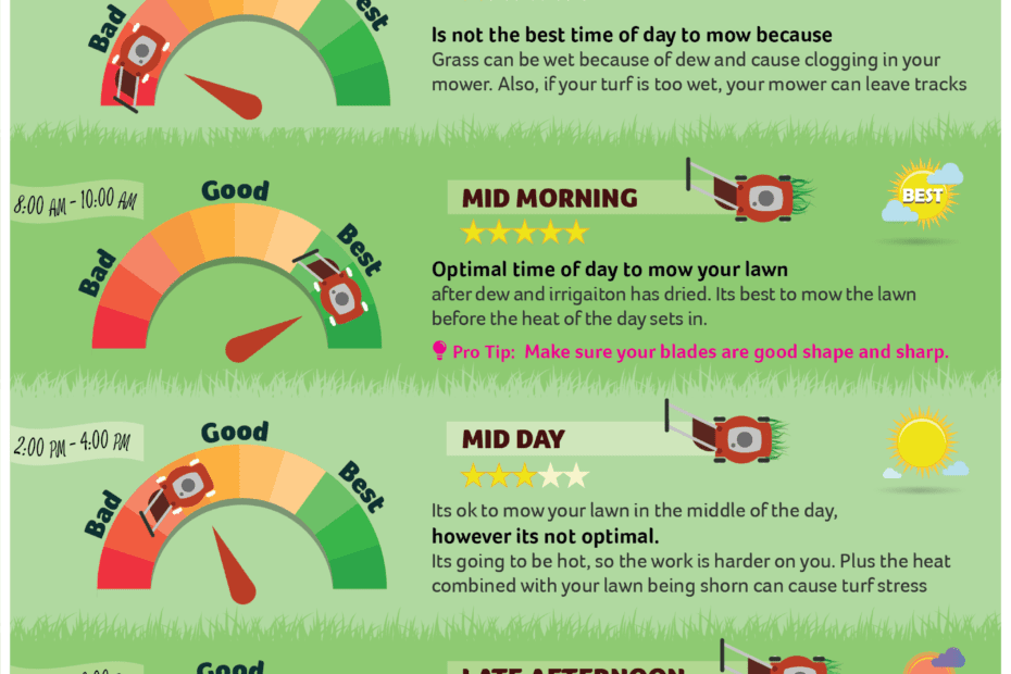 how often to mow lawn in summer