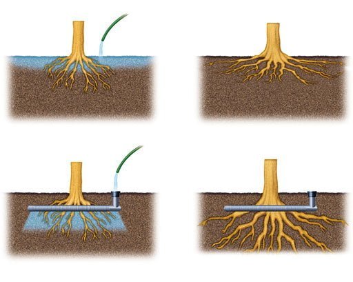 How to Aerate Tree Roots