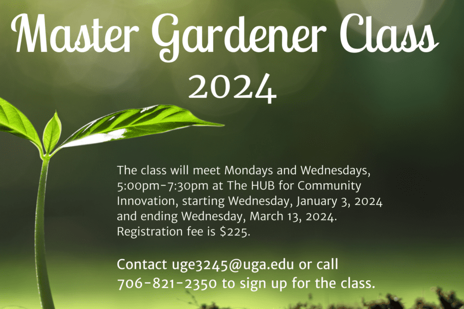 how to become a master gardener in georgia