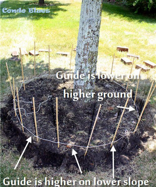 how to build a tree ring on a slope