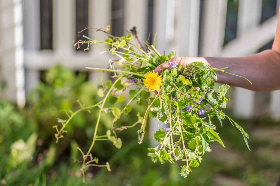 how to clear a vegetable garden full of weeds