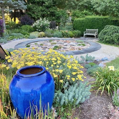 how to convert a pond into a garden