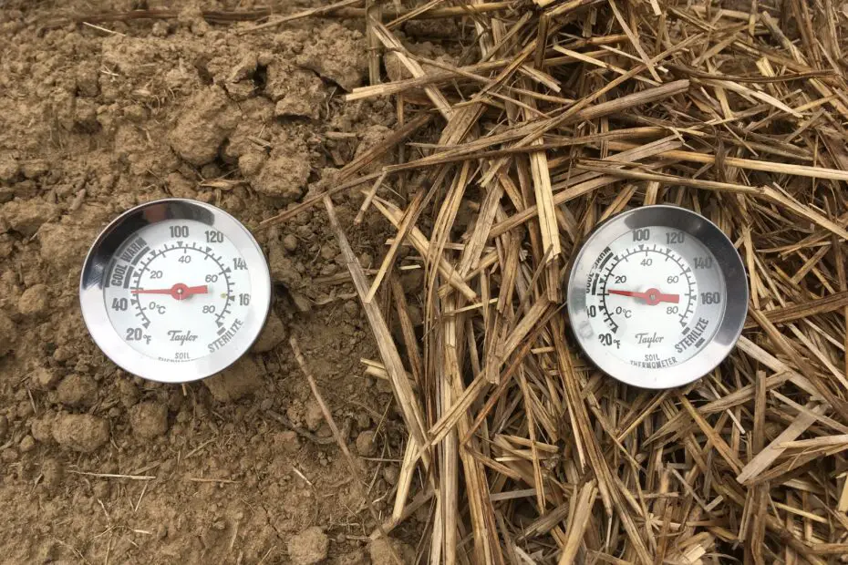 how-to-determine-soil-temperature-without-thermometer-up-gardening