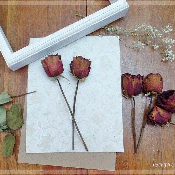 how to display dried roses