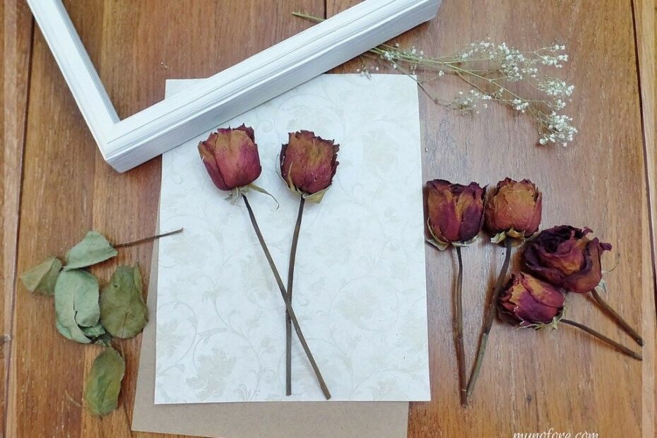 how to display dried roses