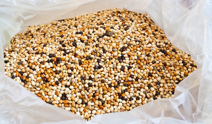 how to dispose of old bird seed