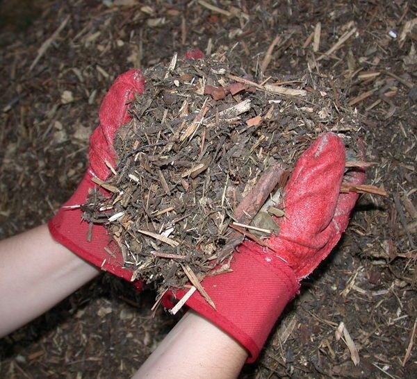 how to dispose of old mulch