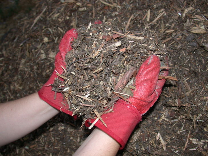 how to dispose of old mulch