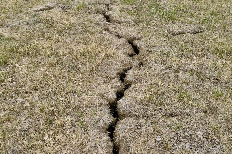 how to fix cracks in lawn